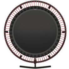 Lade das Bild in den Galerie-Viewer, bellicon 125 cm, rot
